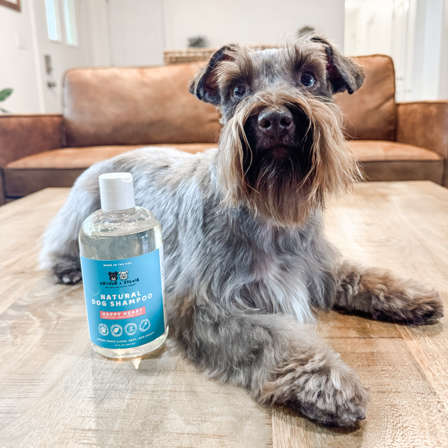 Non-Toxic Dog Shampoo | Gentle, Plant-Based Clean for a Happy Pup