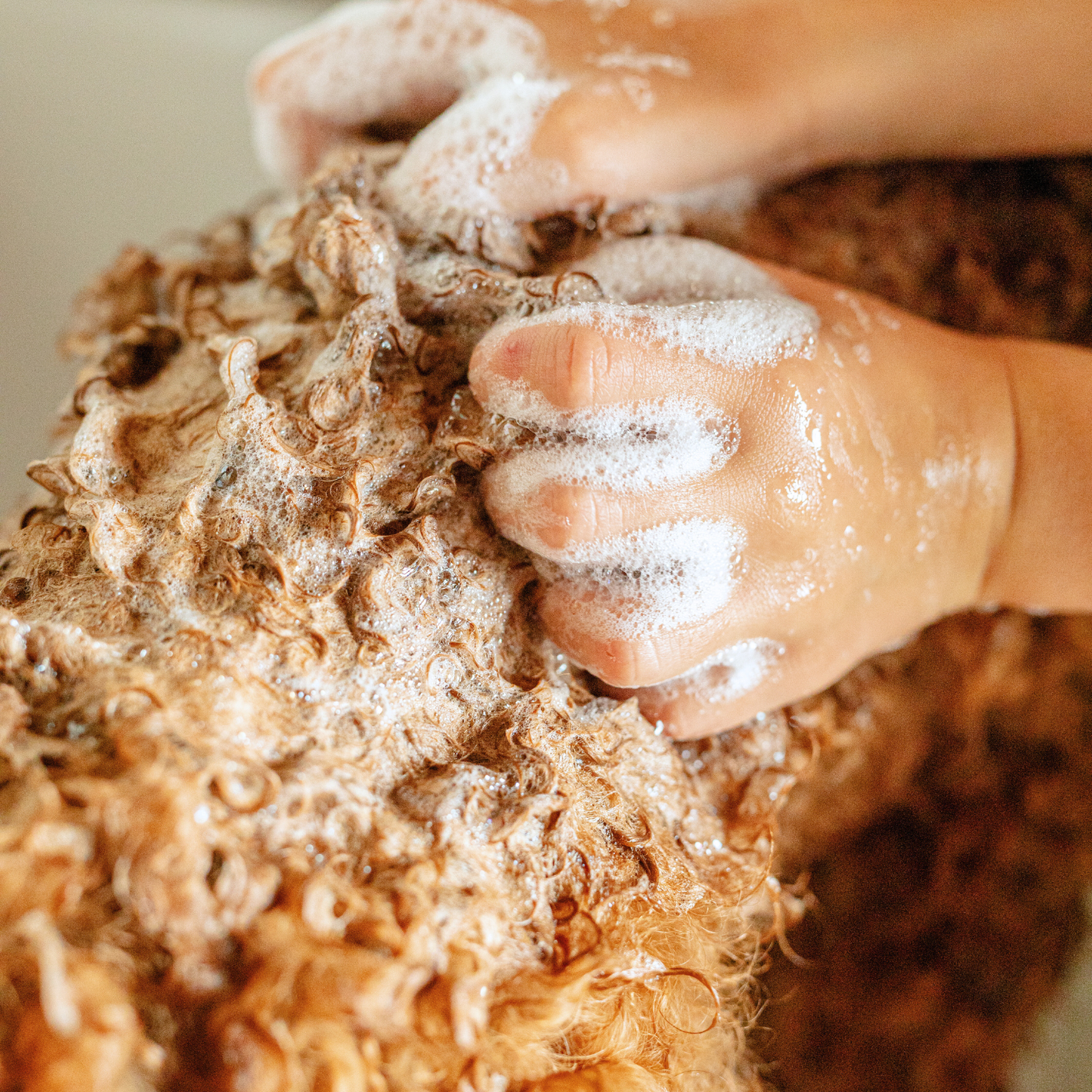 Non-Toxic Dog Shampoo | Gentle, Plant-Based Clean for a Happy Pup