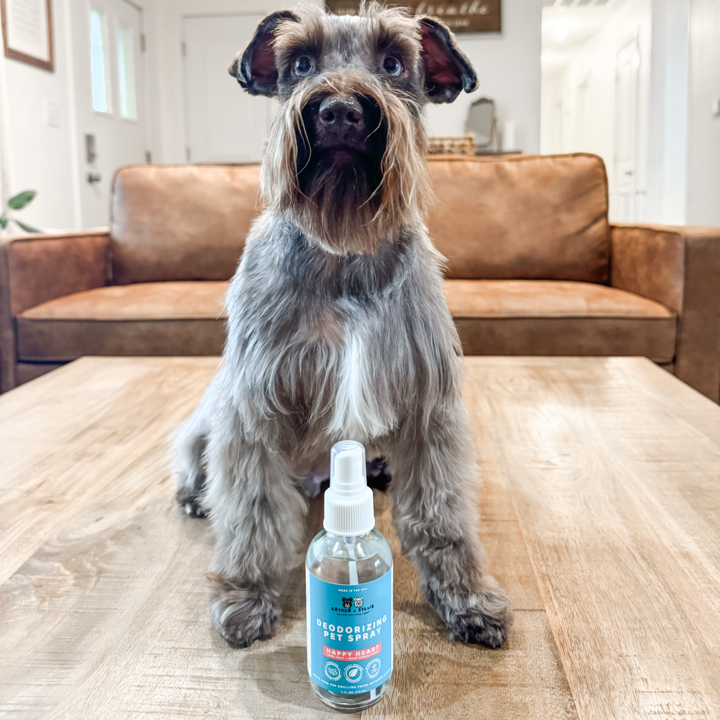 Deodorizing Pet Spray | Stay Fresh Between Baths!
